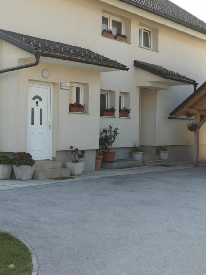 Apartment Damijan
